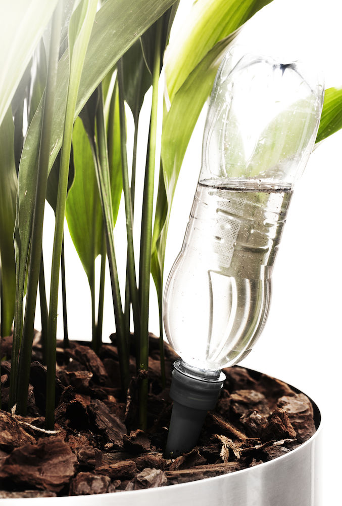 Självbevattnaren från Sagaform hjälper dig att hålla krukväxterna vid liv